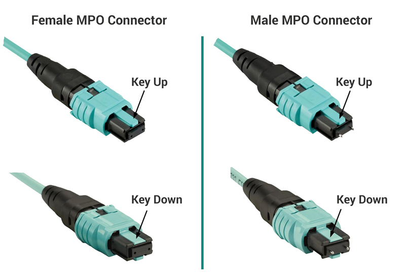 How to Choose the Right MPO/MTP Cable for 400G/800G Transceivers