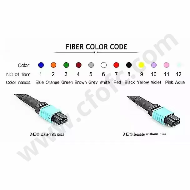 High-Density 8/12/24 Core SM Trunk Cable with MTP/MPO Connectors for Data Center Networking