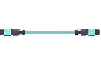 MPO Cable